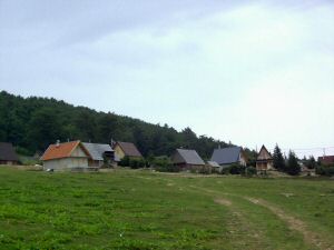 bosnia_rob_3 (1).jpg